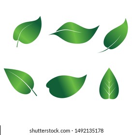 green leaf icons set on white background vector illustration