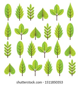 green leaf icons set on white background, vektor