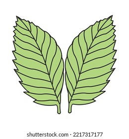 green leaf icons set on white background in eps 10