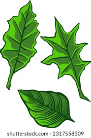 green leaf icons set on white background