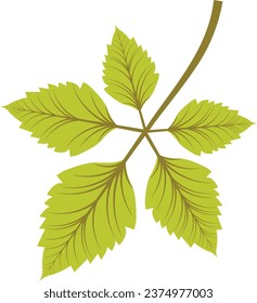green leaf icons set on white background