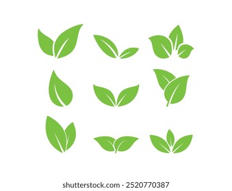 Iconos verdes de la hoja fijados en el fondo blanco. Eco, bio, natural, vegano icono. Ilustración vectorial.