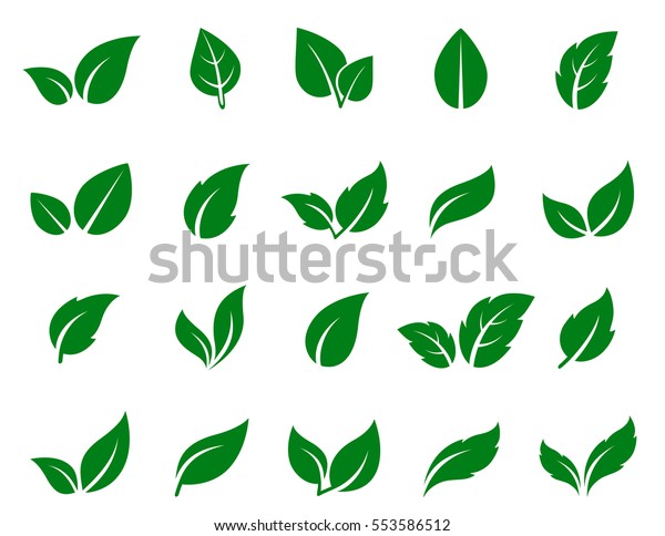 Icones De Feuille Verte Sur Fond Image Vectorielle De Stock Libre De Droits