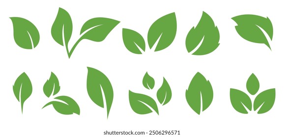 Grüne Blätter Icons gesetzt. Blatt-Shapes. Elemente für Öko-, Natur-, Bio-, Vegan-Labels. Blätter einzeln auf weißem Hintergrund