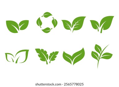 green leaf icons set vector template