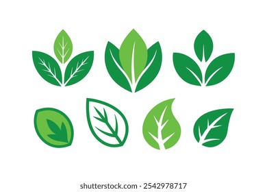 Conjunto de iconos de hojas verdes vegetarianos, veganos, ecológicos y orgánicos logotipo de hierbas etiquetas ilustración de Arte vectorial.