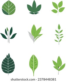 Green leaf icons sets. Leaves icon. Leaves of trees and plants. Collection green leaf. Elements design for natural, eco,vegan labels. Vector illustration.