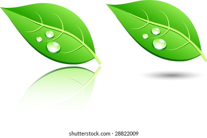 Grüne Blattsymbole. Vektorgrafik.