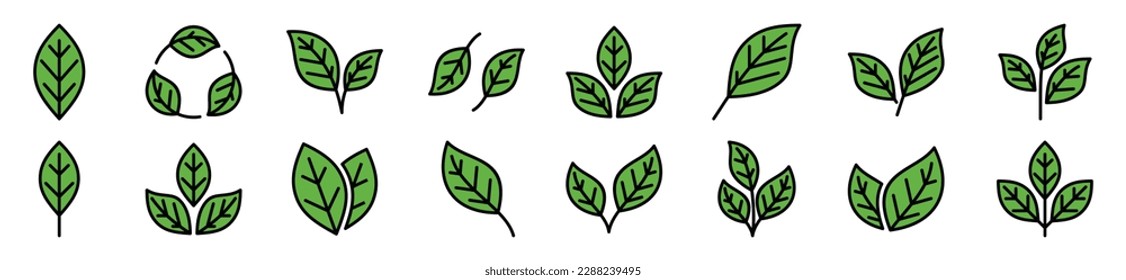 Green leaf icons vector set. Leaves, ecology, tea, nature, green plant sign and symbol on white background. Vector illustration