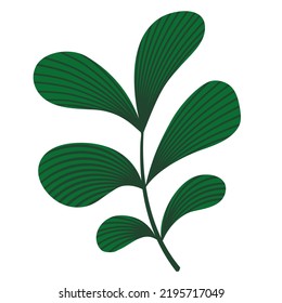 Green leaf illustration for children book or decoration and flash card. A simple vector design.