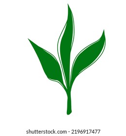 Green leaf illustration for children book or decoration and flash card. A simple vector design.
