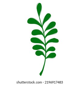 Green leaf illustration for children book or decoration and flash card. A simple vector design.
