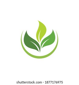 Green leaf illustration ecology logo design