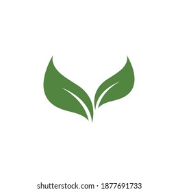 Green leaf illustration ecology logo design