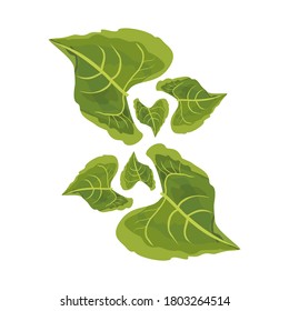 Ilustración de hojas verdes, de estilo plano. temática ecológica. ilustración vectorial