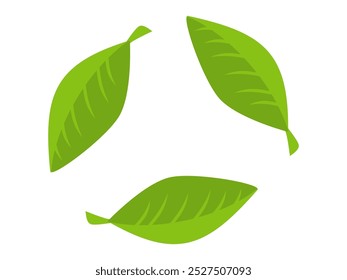 
green leaf illustration in flat style, on white background. leaf flat design. nature icon, leaf vector illustration.