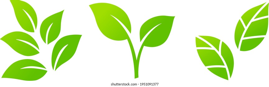 Conjunto de iconos de la ilustración verde