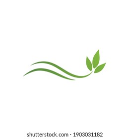 Green leaf illustration nature logo design