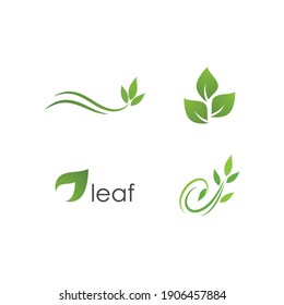 Green leaf illustration nature logo design