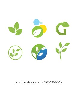 Green leaf illustration nature logo design