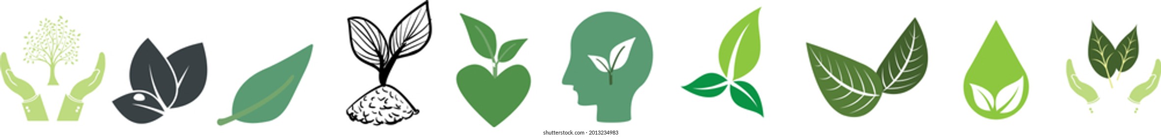 Green leaf illustration nature logo design. Leaf vector icon logo.