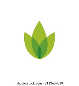 Green leaf illustration nature logo design