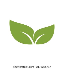 Green leaf illustration nature logo design