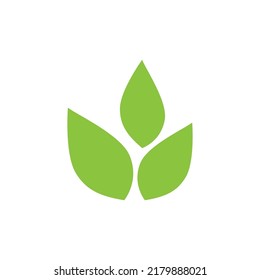 Green leaf illustration nature logo design
