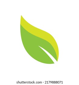 Green leaf illustration nature logo design