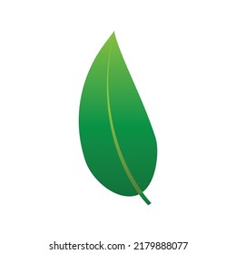 Green leaf illustration nature logo design