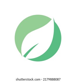 Green leaf illustration nature logo design