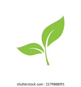 Green leaf illustration nature logo design