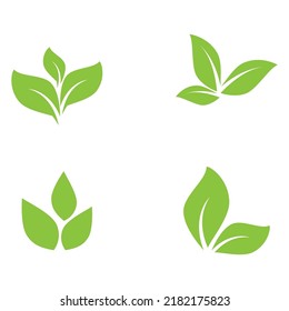 Green leaf illustration nature logo design
