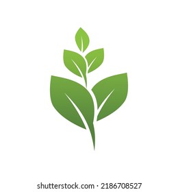 Green leaf illustration nature logo design