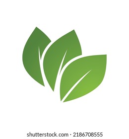 Green leaf illustration nature logo design