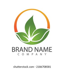 Green leaf illustration nature logo design