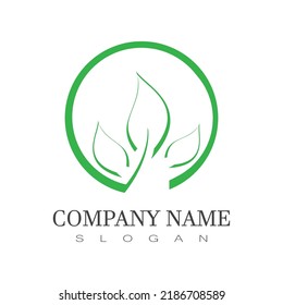 Green leaf illustration nature logo design