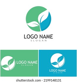 Green leaf illustration nature logo design