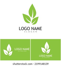 Green leaf illustration nature logo design