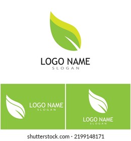 Green leaf illustration nature logo design