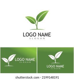 Green leaf illustration nature logo design