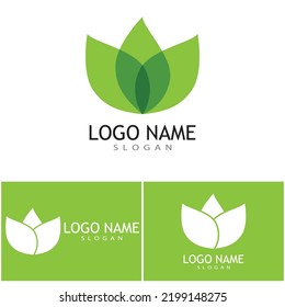 Green leaf illustration nature logo design