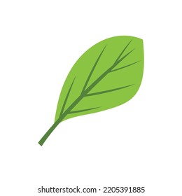 Green leaf illustration nature logo design