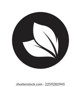 Green leaf illustration nature logo and symbol design