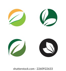 Green leaf illustration nature logo design