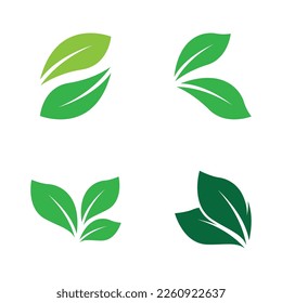 Green leaf illustration nature logo design