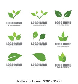 Green leaf illustration nature logo design