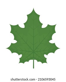 green leaf illustration over white