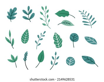 Green Leaf Illustration Set. Botanical Garden Plant Leaves Clip Art.