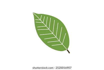Ilustración de hoja verde con un diseño simple sobre un fondo blanco. La hoja tiene un tallo marrón y líneas blancas de la vena que corren a través de su superficie.